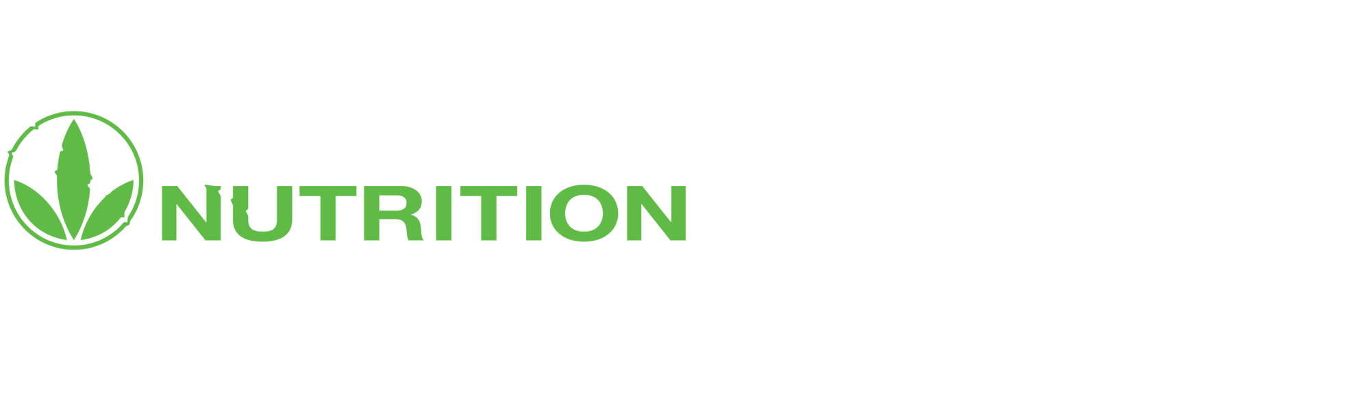 budifit.pro